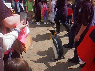 parade-participent.JPG (18853 bytes)